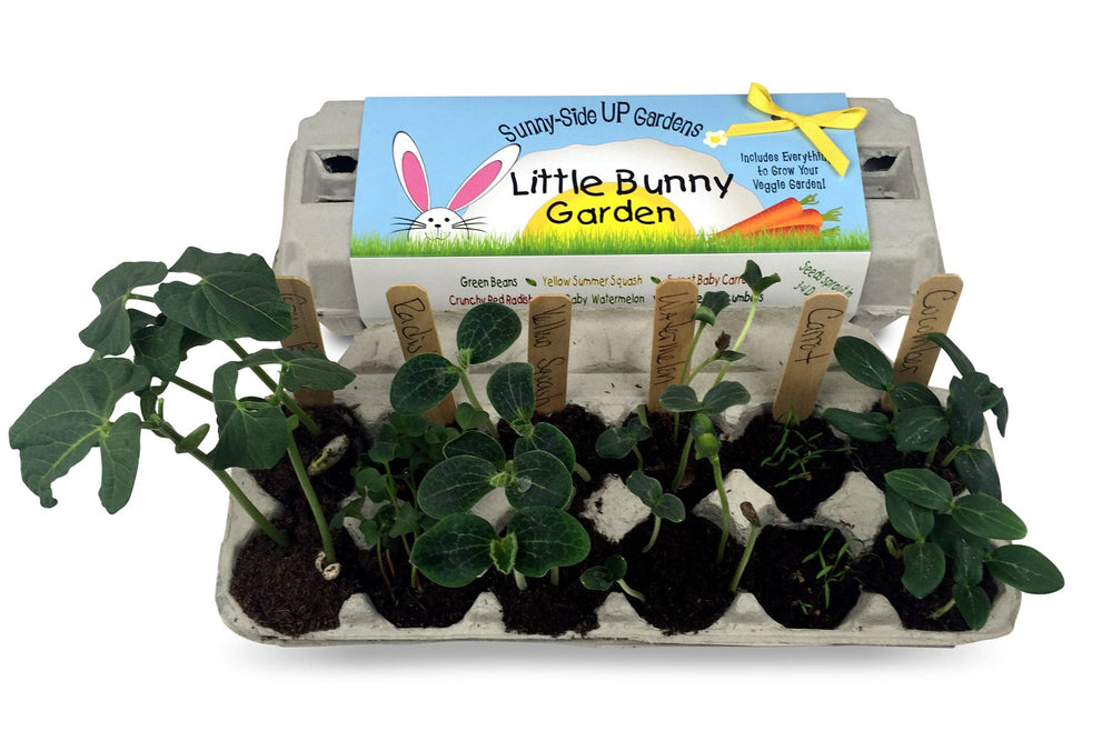 Little Bunny Garden Grow Kit