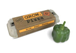 Pizza Garden Grow Kit