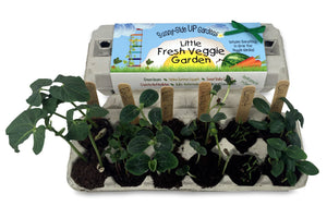 Little Fresh Veggie Garden Grow Kit