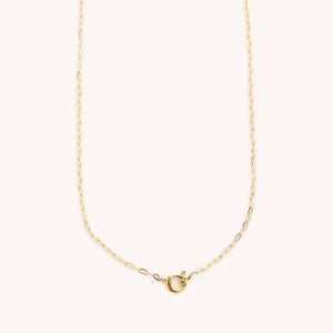 
            
                Load image into Gallery viewer, Stevie Gold Filled Necklace
            
        